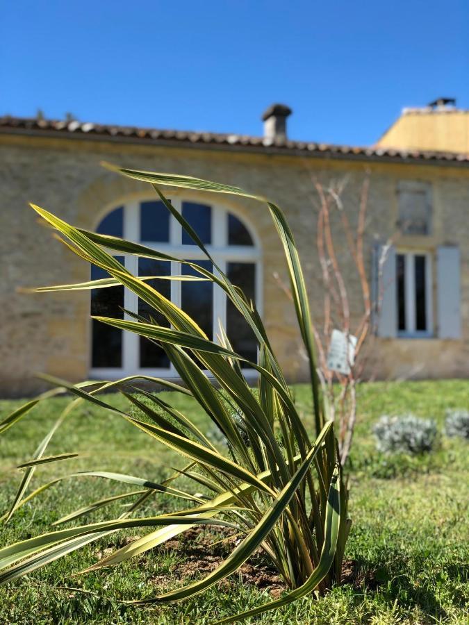 Bed and Breakfast Chez Henri Belvès-de-Castillon Zewnętrze zdjęcie