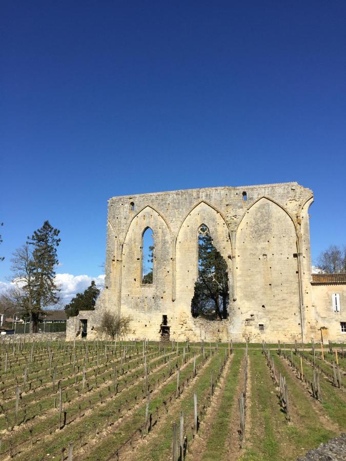 Bed and Breakfast Chez Henri Belvès-de-Castillon Zewnętrze zdjęcie